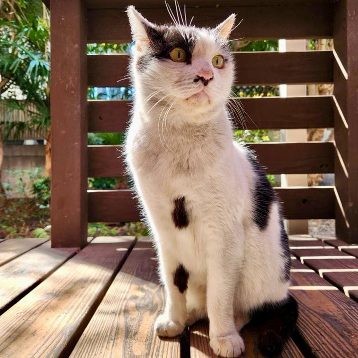 29eef2e9 83ba 4b09 8e7d 3f7589ee637e 1774329214025