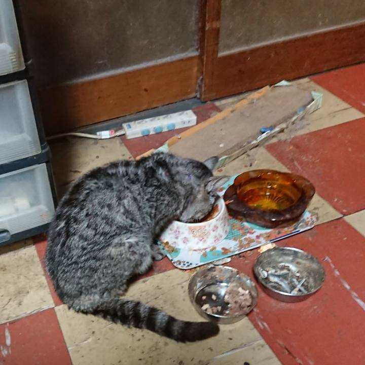 29eef4b0 e02d 4c06 ae7f 9da5a93c0504 1579693560818