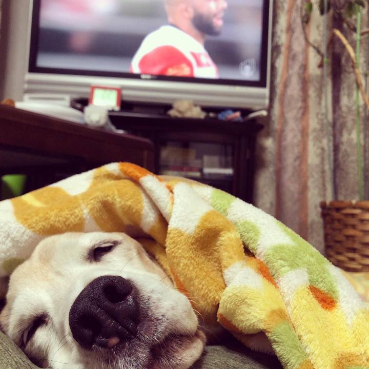 29ef257f d33b 4b8e 8976 954136bf5ef0 1571923673312