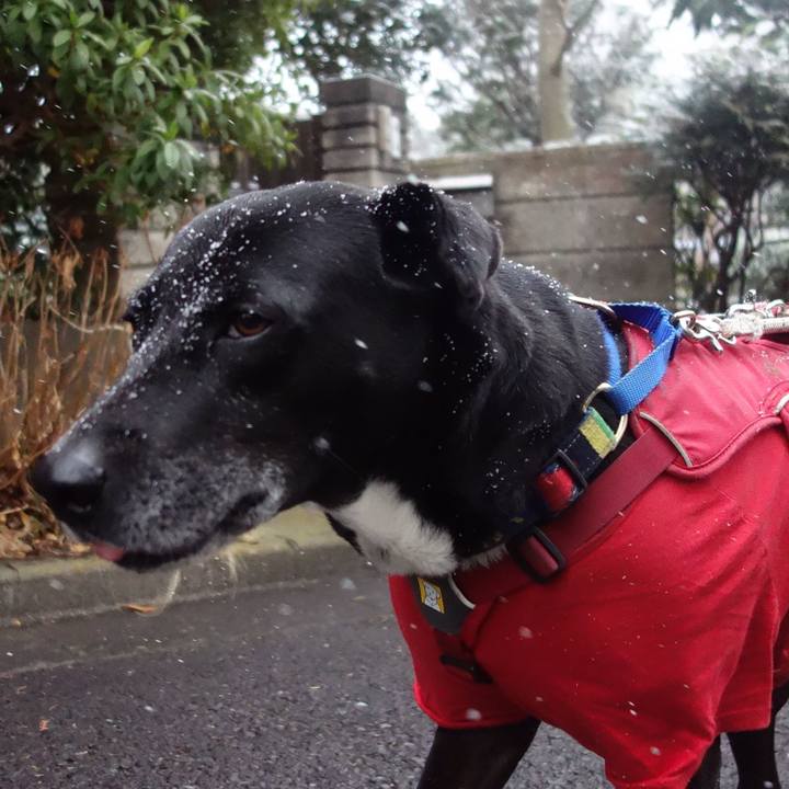 29ef2931 3eb8 408e 9946 67074298aa66 1675988866149