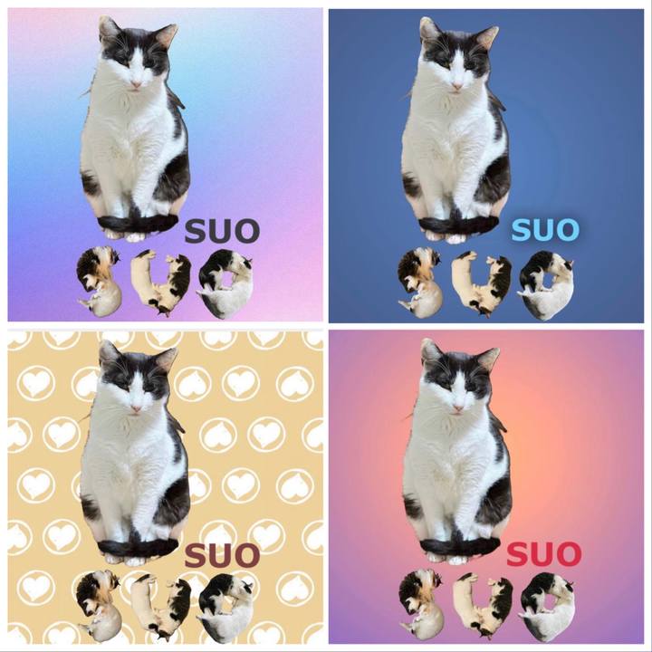 29ef42bf 4e4e 428e ab06 9726bf91ef7e 1668944010675