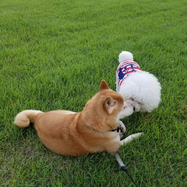 29ef454b 9d3e 4010 8990 09ce7818b7a8 1627634519636