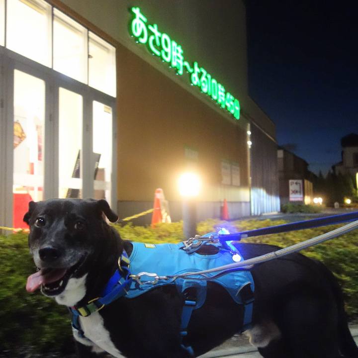 29ef8bcf e3bf 435a ac91 0b13da230783 1692962251535