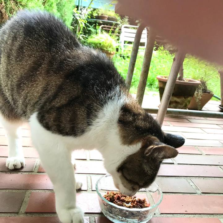 29ef91f7 f84b 4474 813c 01e1c6845b0b 1600133418463