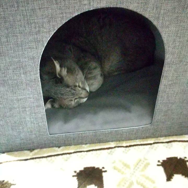 29efca3e 3fdc 46bc a3c8 671131c70e00 1679053828967