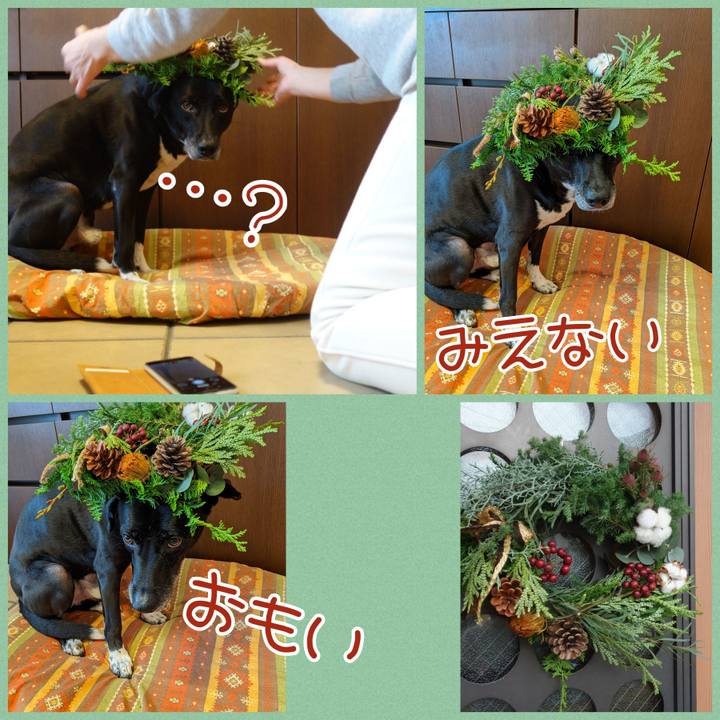 29eff2a2 594e 426f 82da 14ec8995a670 1669287047257