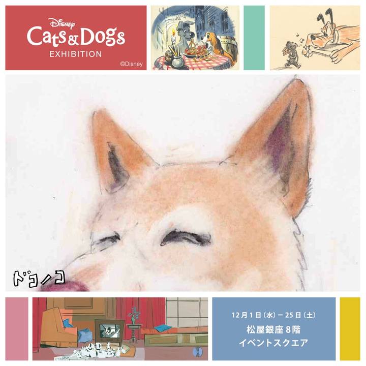 29f00084 fd1f 4013 a1eb 090110ea3cb5 1638359736353