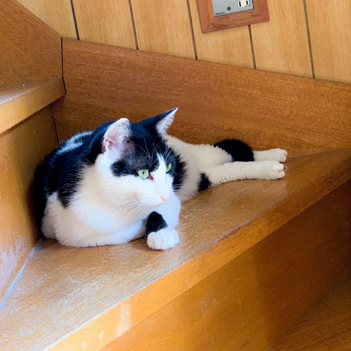 29f0204b 6fec 4afb be61 13b4c5029a32 1563674915349