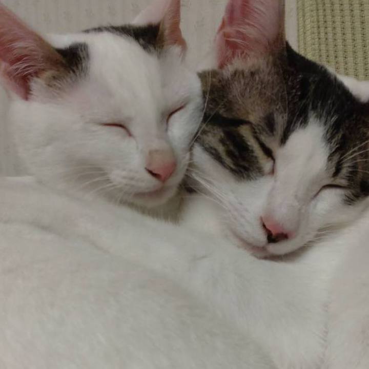 29f032f0 b9be 4dcd 8203 881230c54ff6 1638351162595