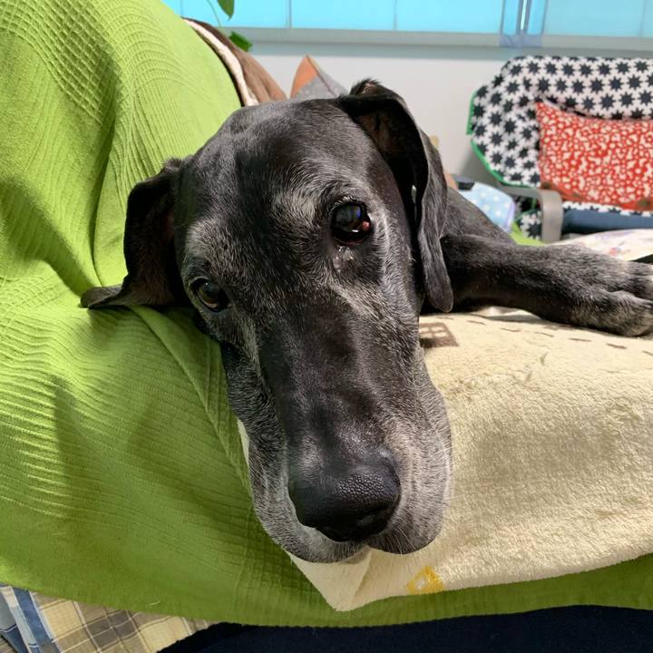 29f0bc38 1387 4349 ba00 e43778e059da 1592433444015