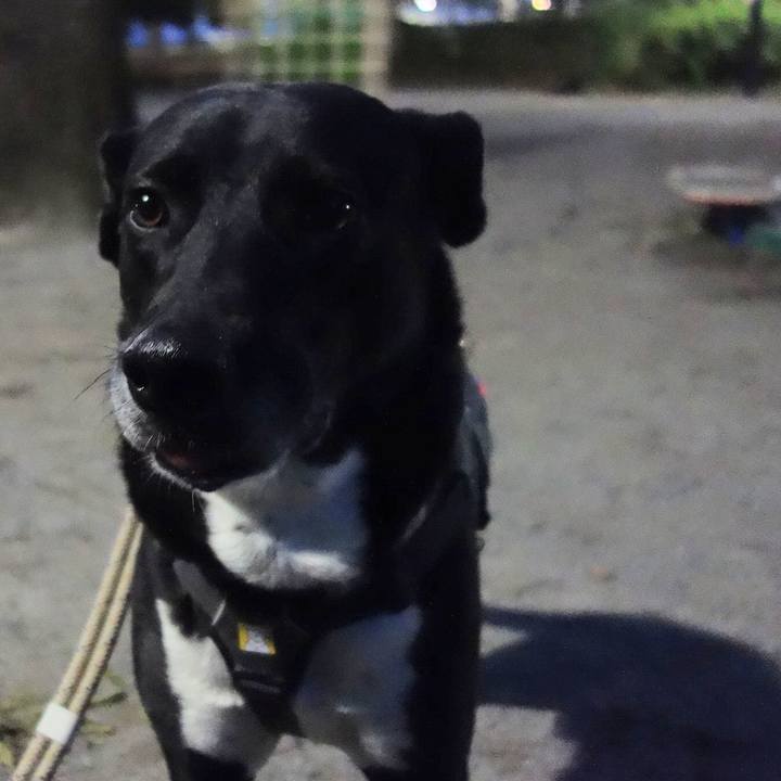 29f0ca8c 1d15 4fa8 8784 75dece74abe4 1651144241974