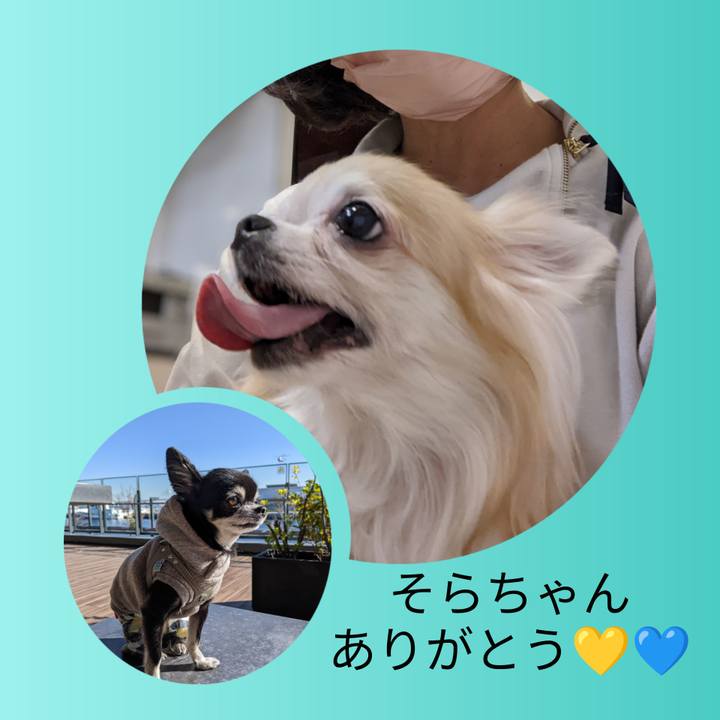 29f0cb56 c774 4373 9cc1 8c74ad2690d9 1702602044959