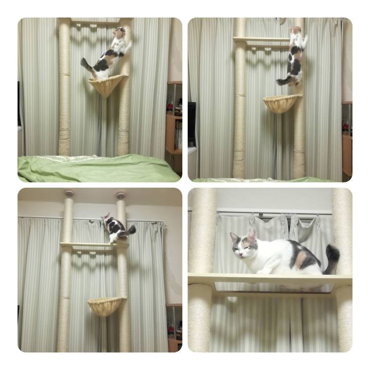 29f0edff 026f 4986 a84d eed2859fbd8d 1541237545845