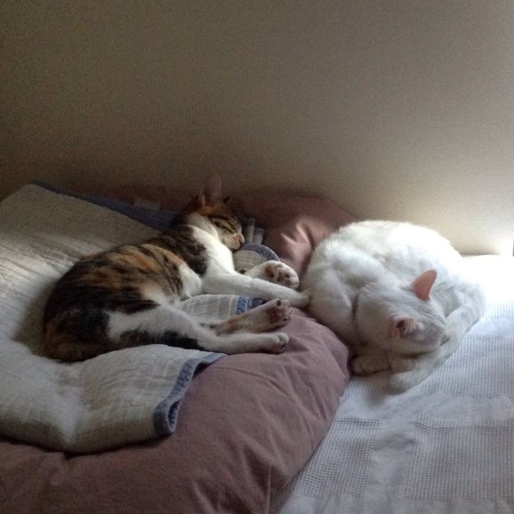 29f0f3ae 8372 4bed 9b9e 8dffeaff6265 1636183238406