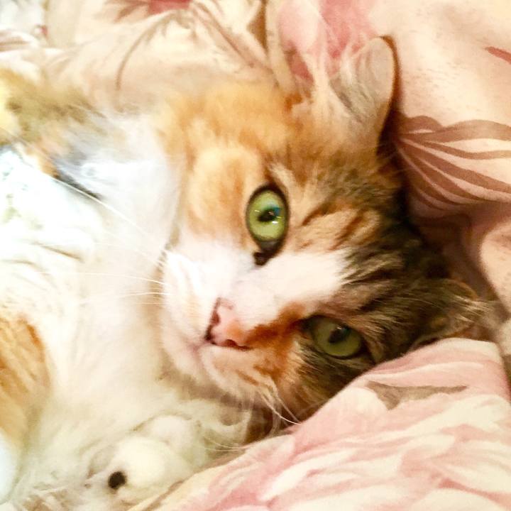 29f13196 4132 4a95 beb8 a3600425e5b4 1560654105720