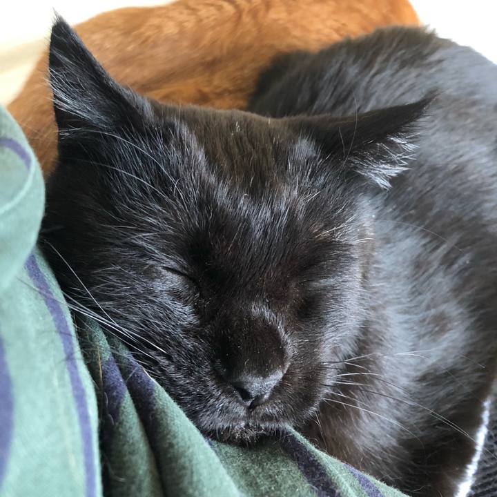 29f16d39 0281 4a9a 92e3 f5280a5cccb8 1622274511497