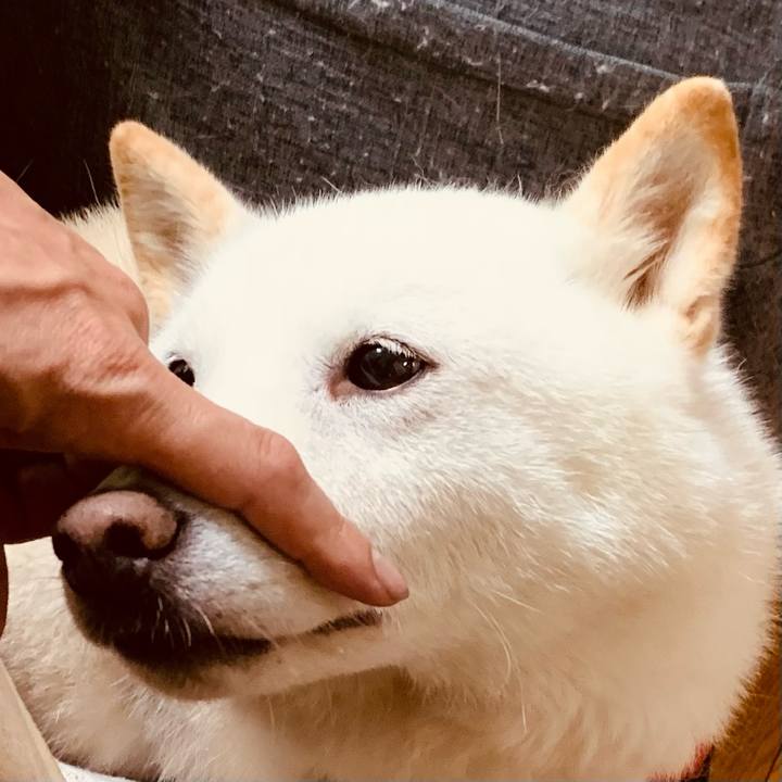 29f19016 858b 42d4 9e52 78b7ddf34940 1656708092639