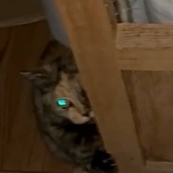 29f19ba4 e02e 4cf0 af75 978c36e40d69 1747594708444