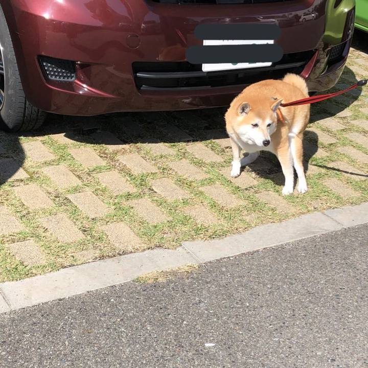 29f1ad21 943c 4576 806c a8456743e49c 1603773529180