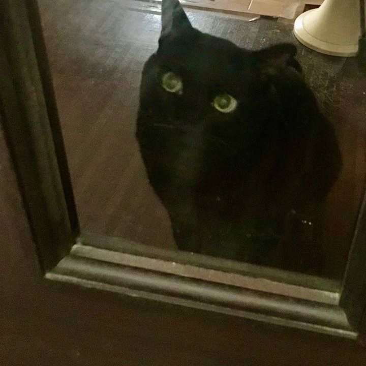 29f1d8d0 c3d4 4b23 a883 3b07f09cd5b3 1601944727187