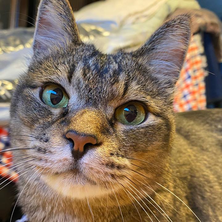 29f1fe76 93c4 4434 9ae3 3d8821ecd691 1597179820070