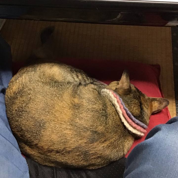 29f228d9 8555 49ad 8501 f718a46d1c34 1625205375193