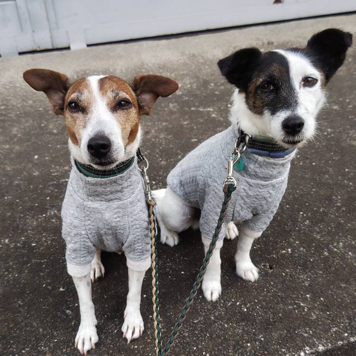 29f22e42 624e 4b18 bceb 3a7d480bde7c 1761258060886