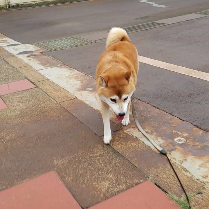 29f24e81 98f2 4522 9afb 5edff7927092 1536225157957