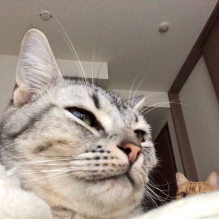 29f27846 2136 4f9c b7a2 df14fb345e25 1542843052058