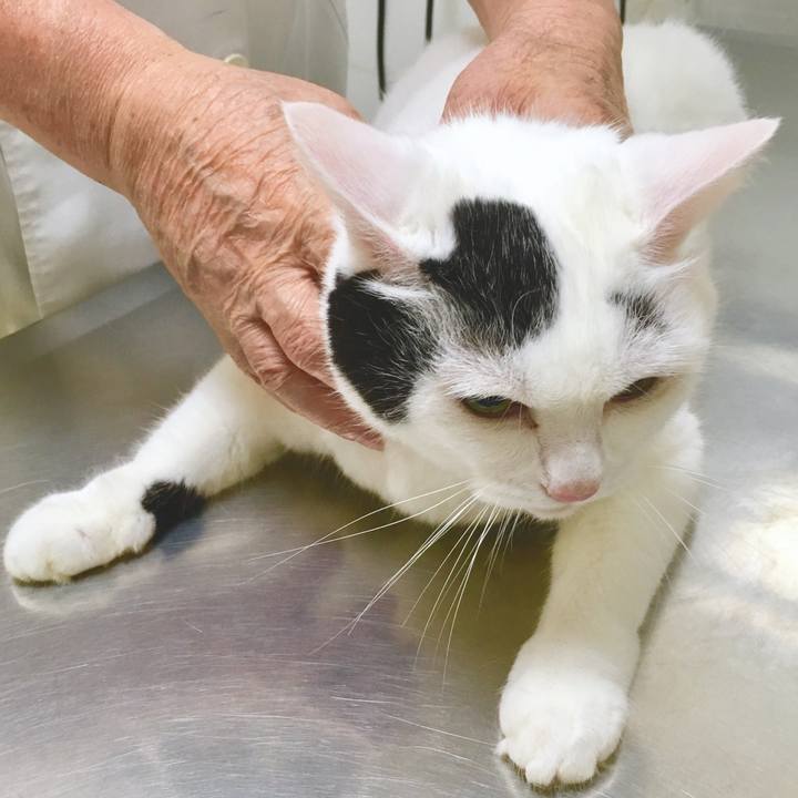 29f2d93d 3358 48a3 9469 60098923cb07 1567762351721