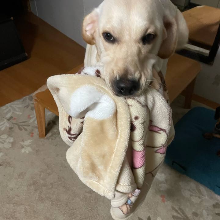 29f2ed4b 4799 4fde 847a 5c192df0d50f 1639989315986