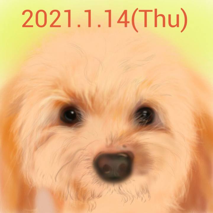 29f30831 3d74 4e4e 97a2 1a4e9a996fb7 1610633566434