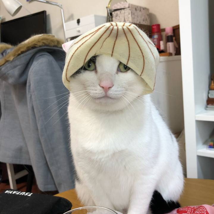 29f31ac5 8739 44d5 8214 0301ad348c7f 1519861785841