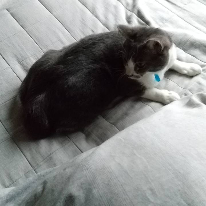 29f31b38 3d2e 4cea b50b 230cecd7cba1 1615845043893