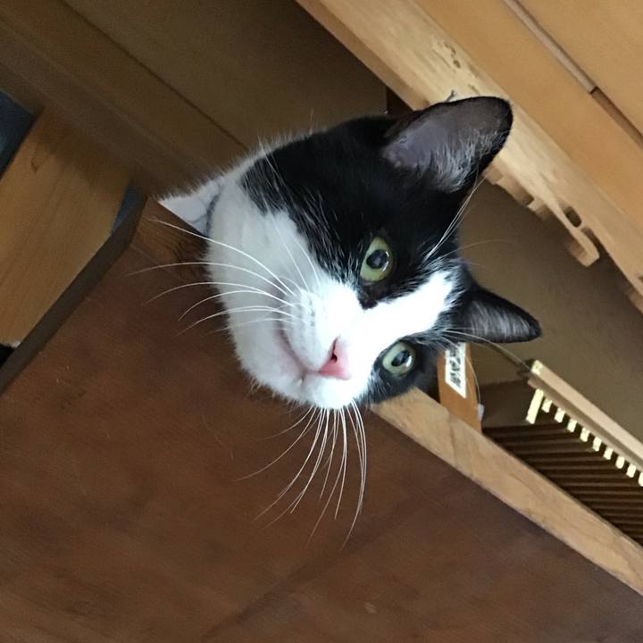 29f342a6 37d6 476c 8c1a c9b8468ee175 1753438463508