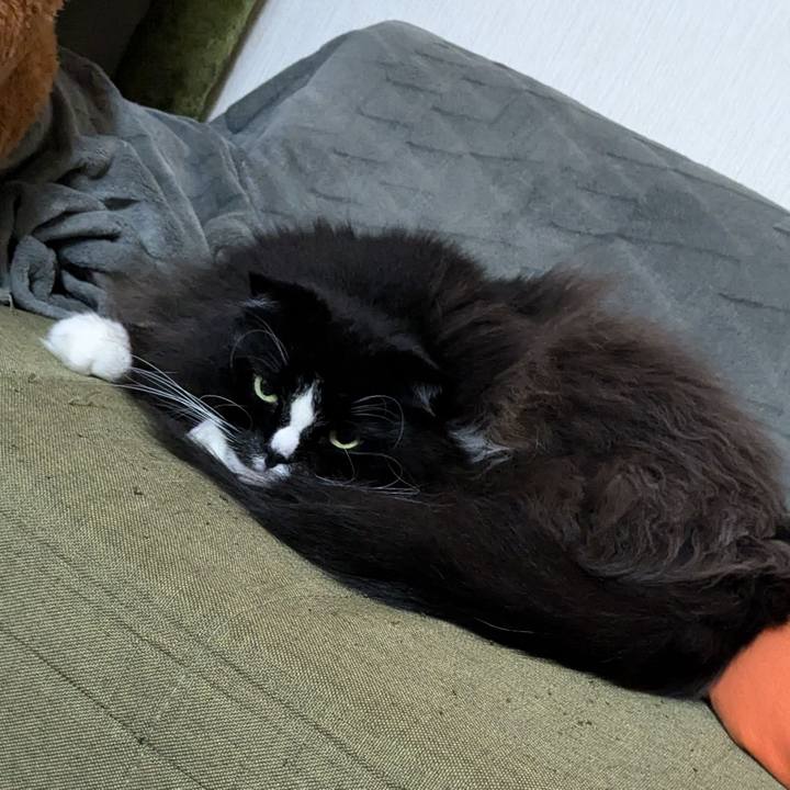 29f36c90 9079 4869 aee1 acbbd5338959 1732279515316