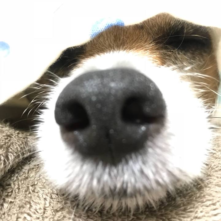 29f36d2b 22ae 47df 88d5 322a59db147a 1529328857107