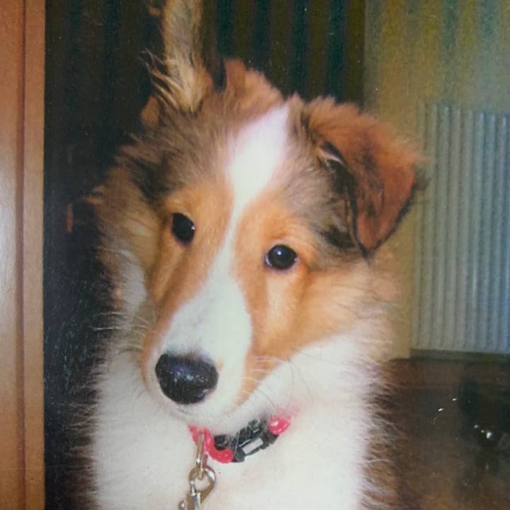 29f372b1 df67 43a4 8d3f 856f4fcc85cf 1573474923433