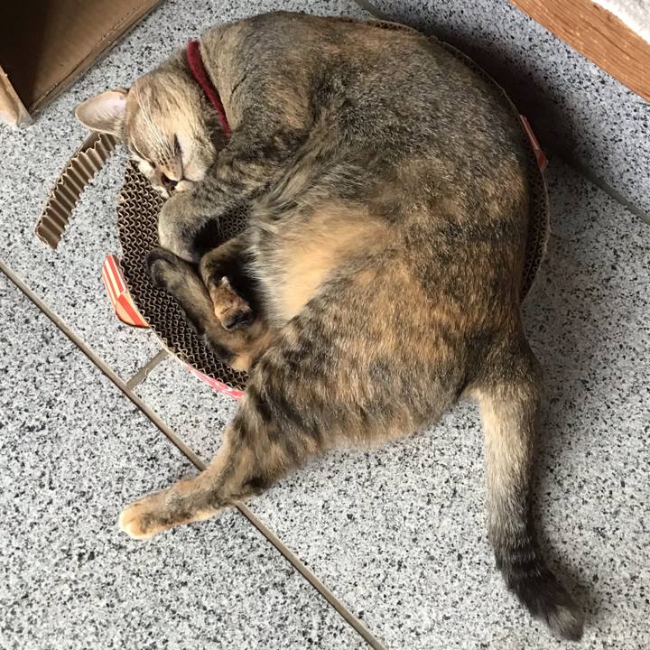 29f389f9 7523 424f bf5b e6b817e120fa 1599893188521