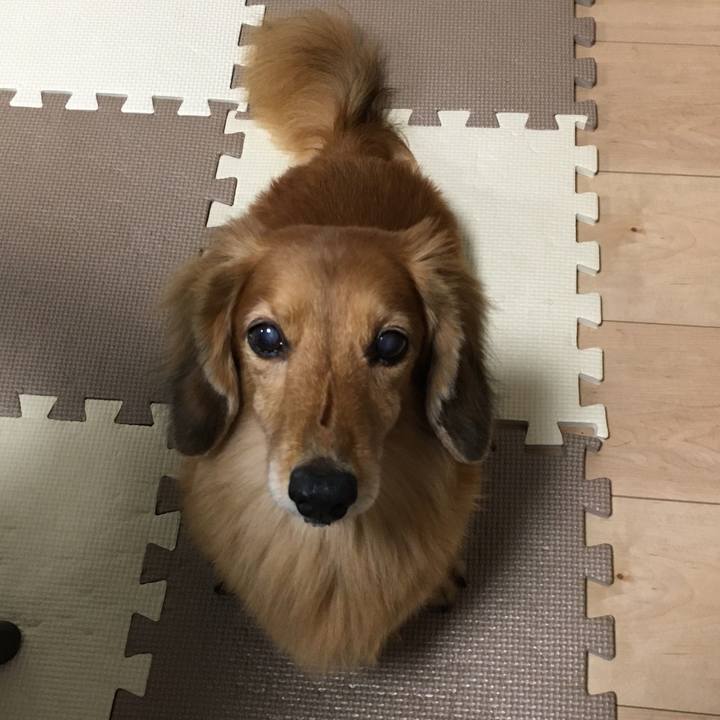 29f3c7da 5751 4cd5 8517 0b2926e63ab7 1601900303598