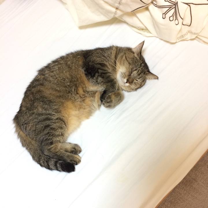 29f4133b 80a0 41c9 b4ee 8294eae08c24 1541115900482