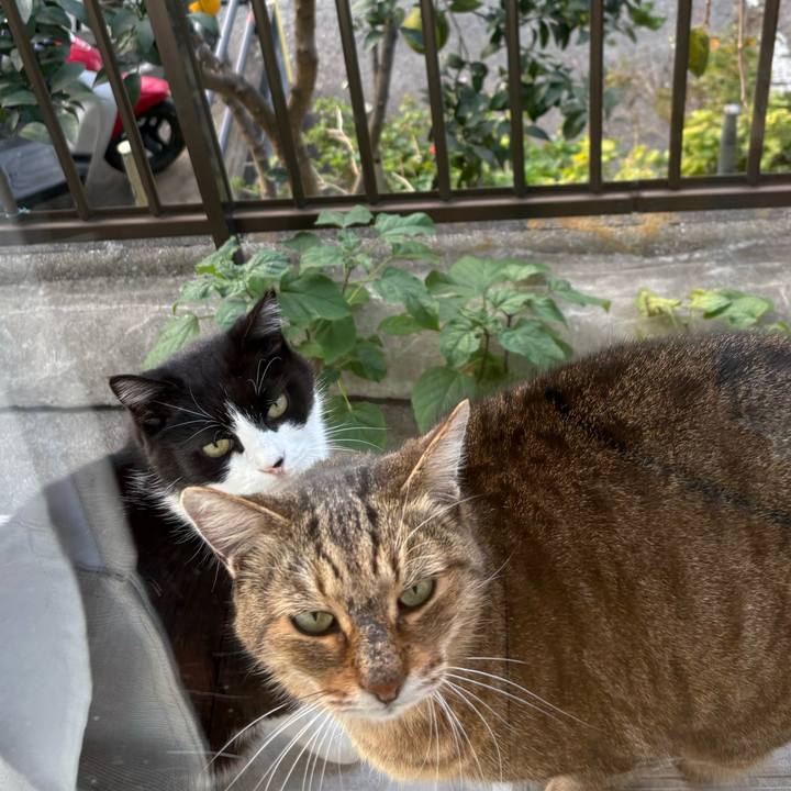 29f42fec 2069 4535 a4f6 47d1352bce0b 1763594944234