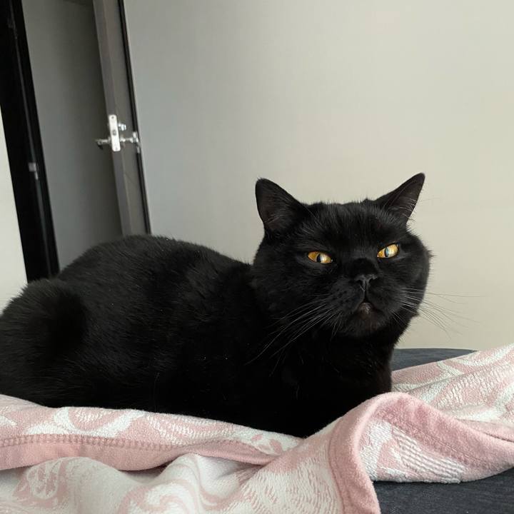 29f48623 98c3 4d03 b66e 3c9849cc0291 1621727299488