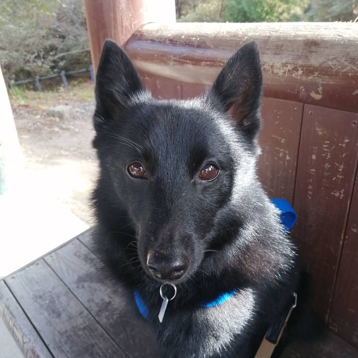 29f494e9 c16a 4ba0 a6d1 d71c28a607e5 1634431362993