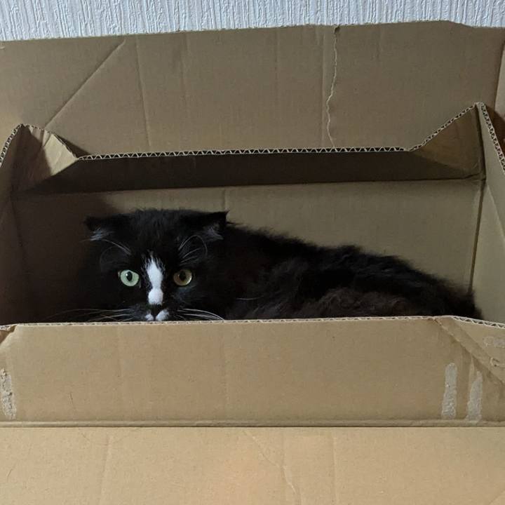 29f4c455 2426 4e27 8a2f 618b04576a03 1729995412426