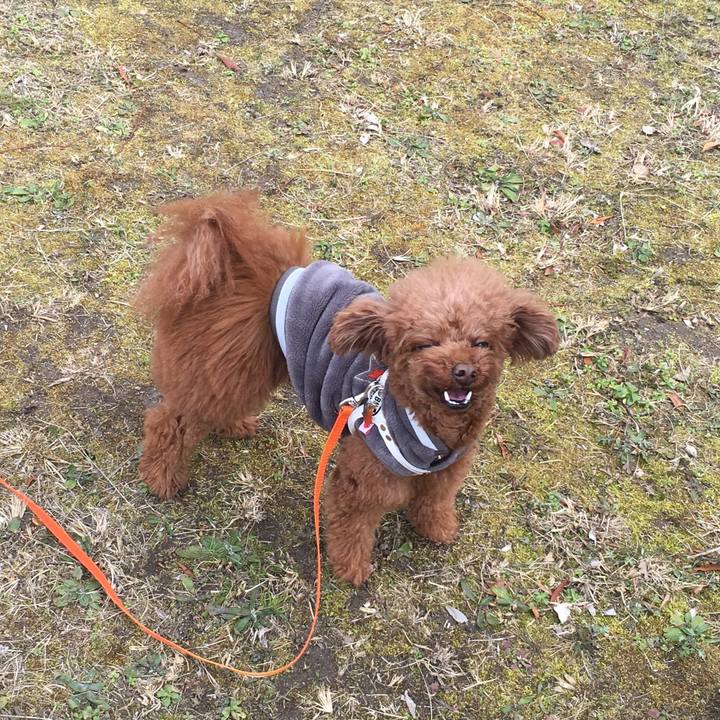 29f4d417 55f8 4e65 be5c 3feec01e94c8 1550397148387