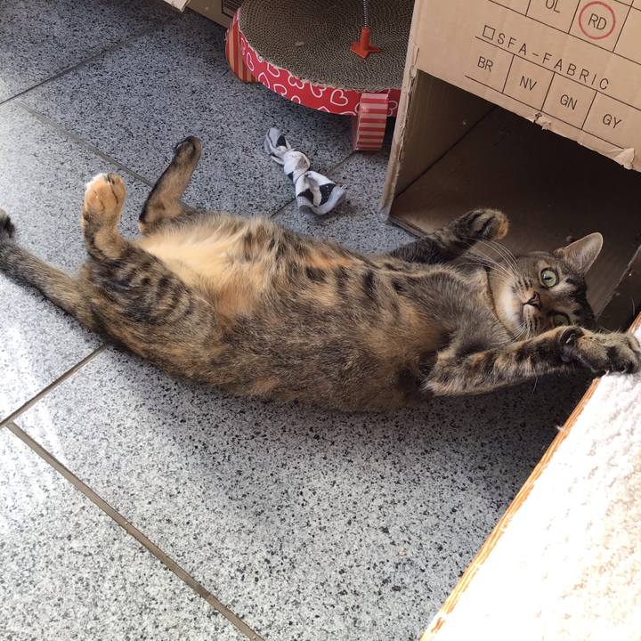 29f5b2c5 8575 4860 9bd6 d5ba25c2ed61 1608175453530