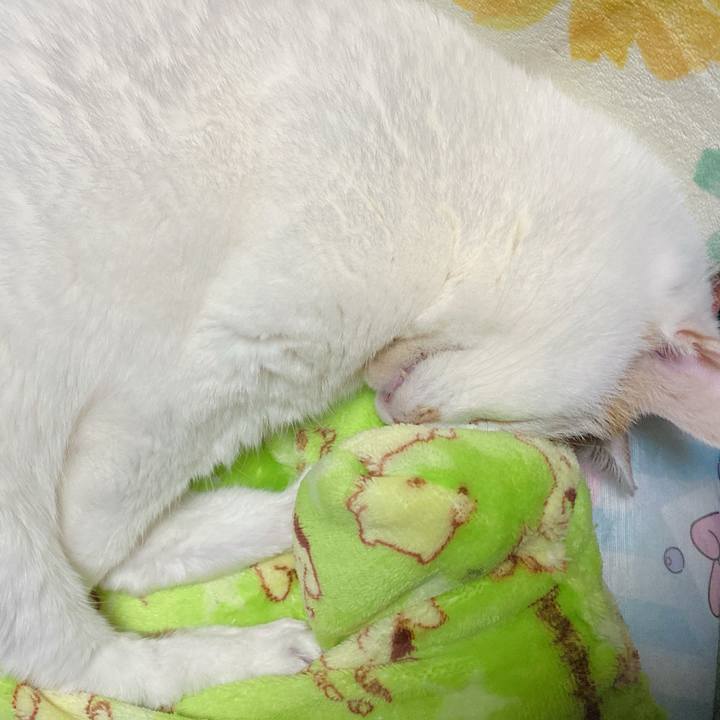 29f5d7d6 419d 4197 a1ce be38f746103b 1708860734200