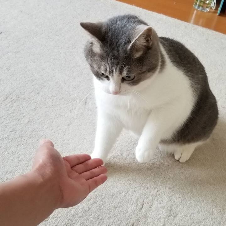 29f5e1de f13f 4488 b01c 0acb1f5b7e76 1569286123549