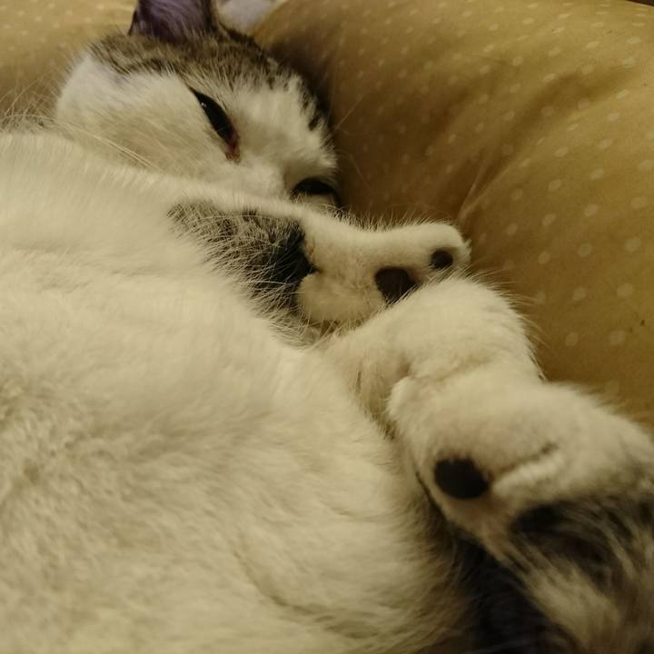 29f61f07 38ff 45f3 9c97 45b7fcd9dc27 1521463849405